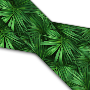 UV bedrucktes BioThane (US)- Ferns